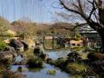 大仙公園・日本庭園・池泉