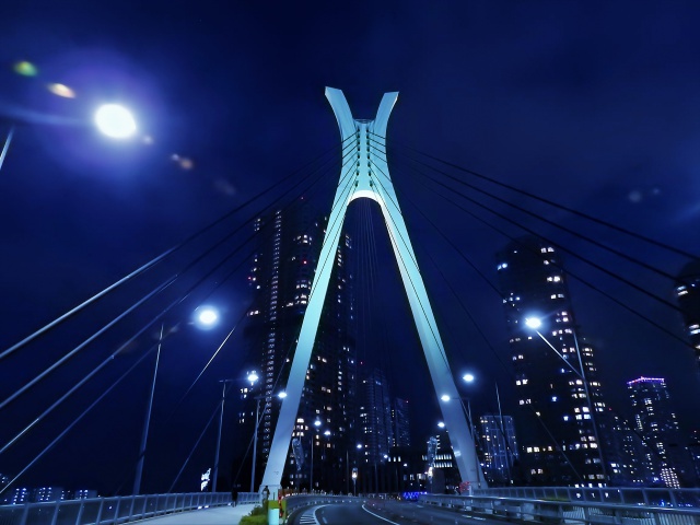 中央大橋ライトアップ