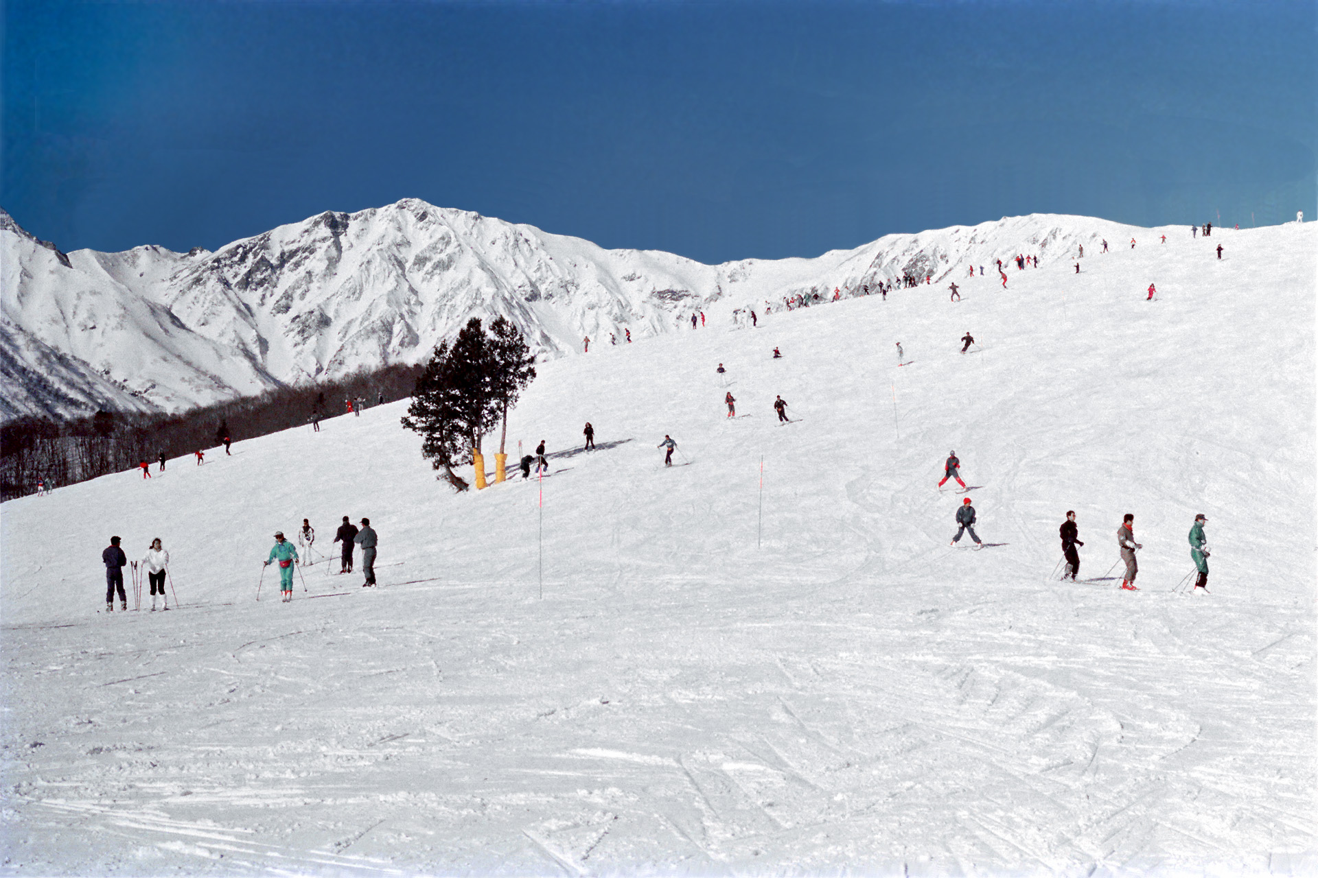 日本の風景 白馬岳と岩岳スキー場 19 壁紙19x1280 壁紙館