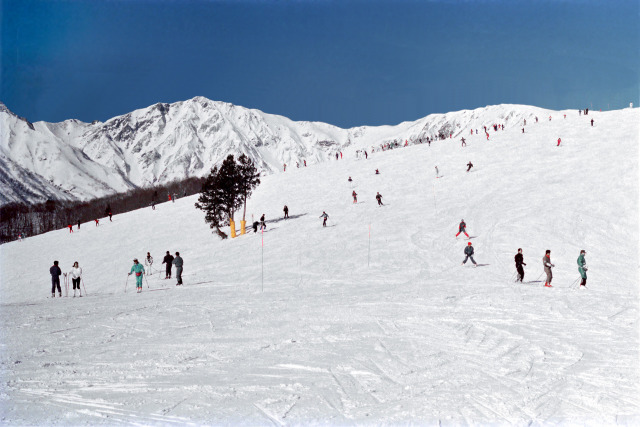 白馬岳と岩岳スキー場～1988