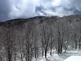 冬山雪景色