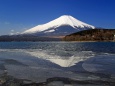 春めいて(富士山)