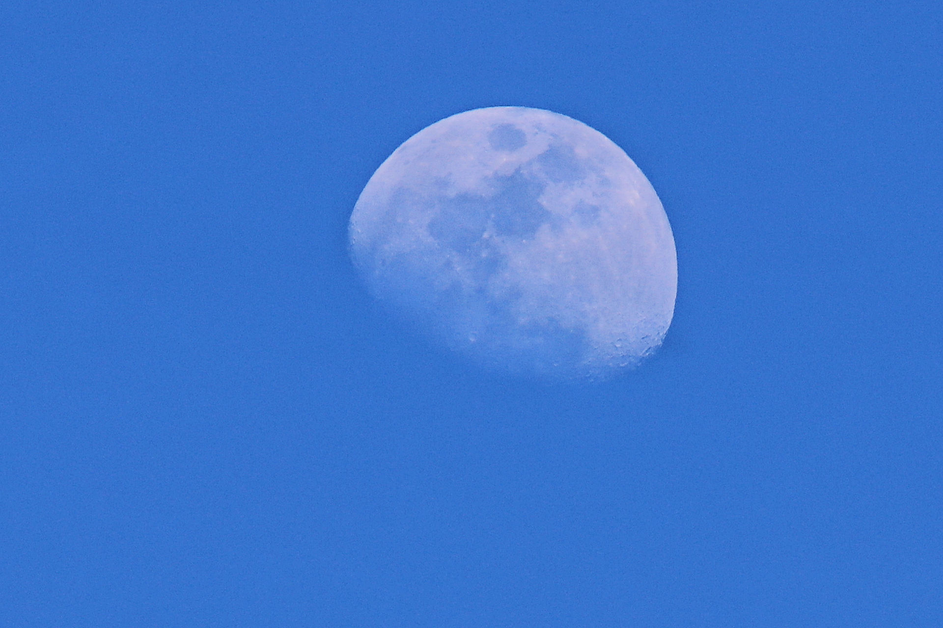 星 宇宙 空 昼の月 月齢 9 5 壁紙19x1280 壁紙館