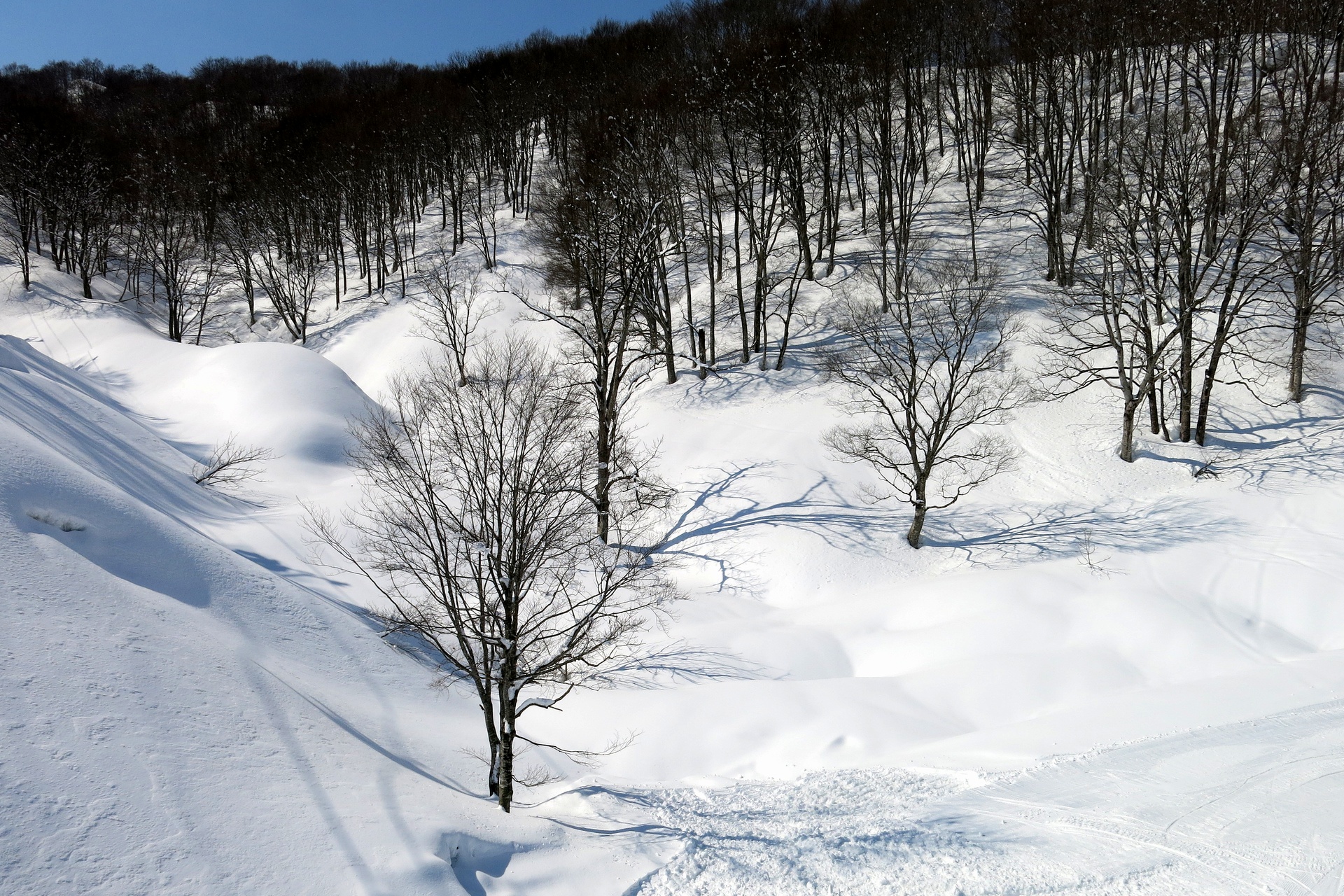 日本の風景 雪山春音 壁紙1920x1280 壁紙館
