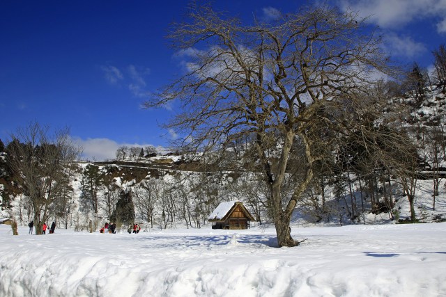 早春の白川郷