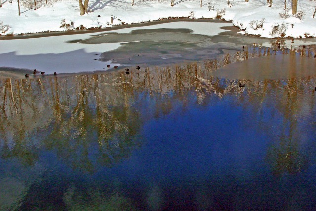 雪融けの池