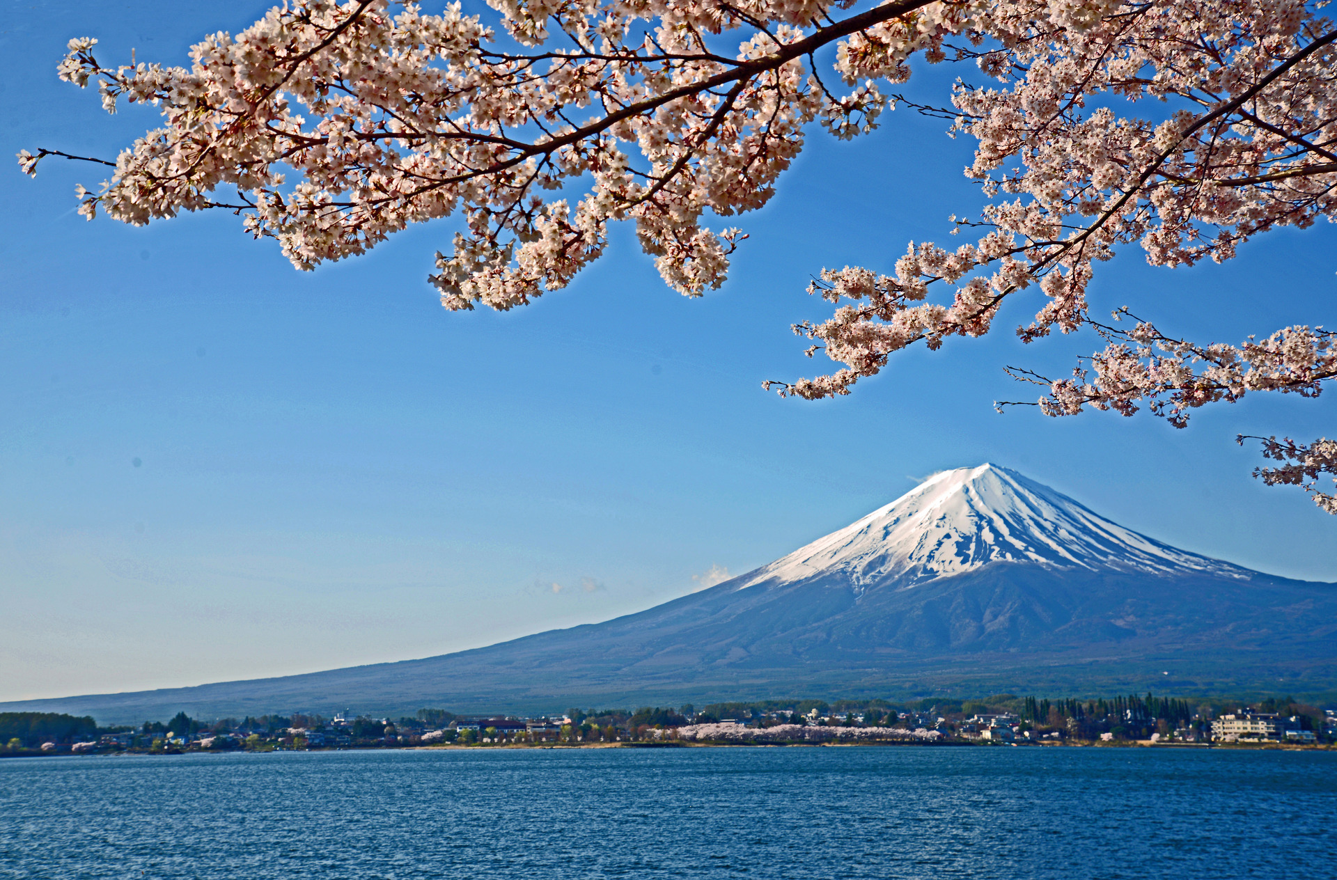 日本の風景 春の富士山 壁紙19x1264 壁紙館