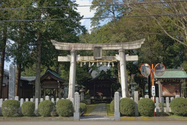 紀部神社(オニヒバ ) 