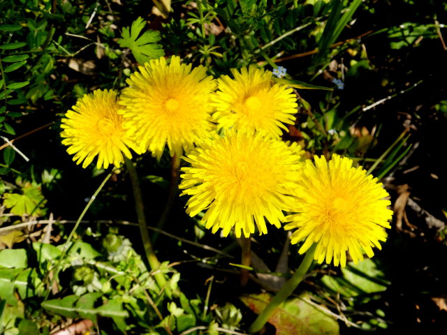 春の晴れた日に