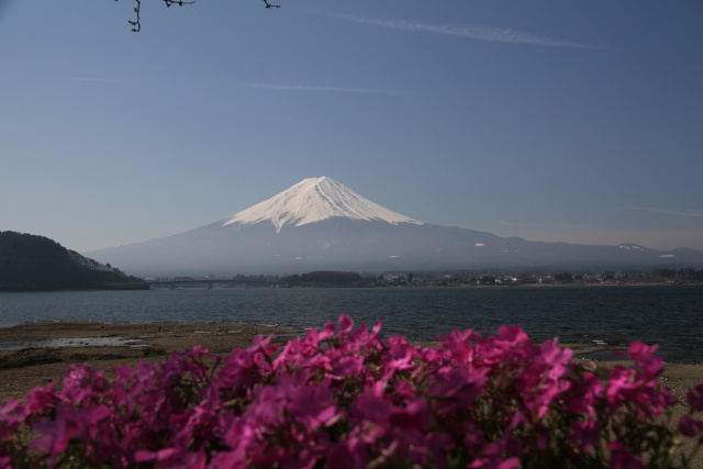 富士山・・春らしく
