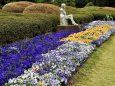 神代植物園の花壇