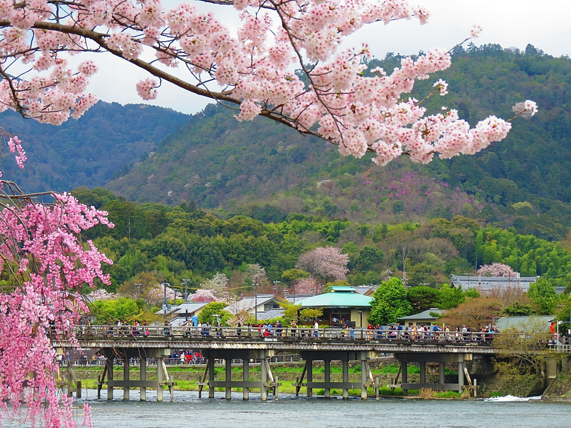 日本の風景 嵐山渡月橋の春景色 壁紙1920x1440 壁紙館