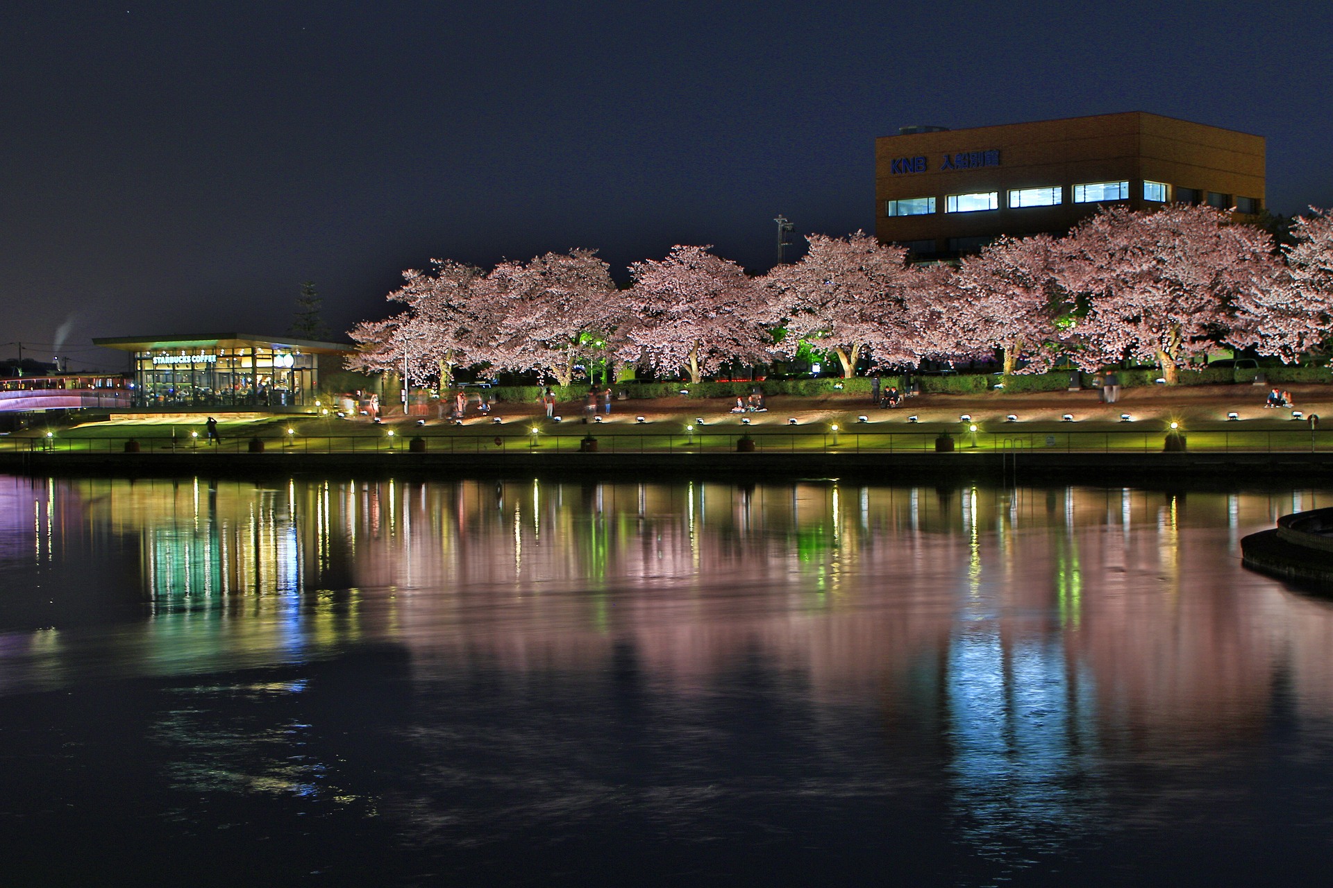 夜景 花火 イルミ スタバ店 左 と桜並木 壁紙19x1280 壁紙館