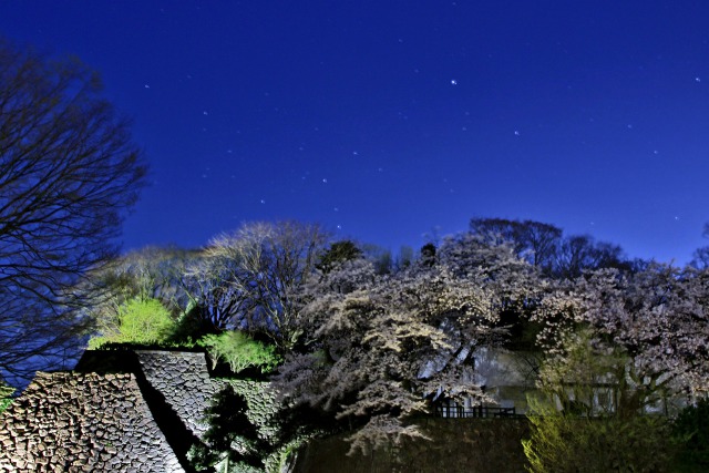 桜の上におおいぬ座