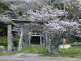 八幡神社