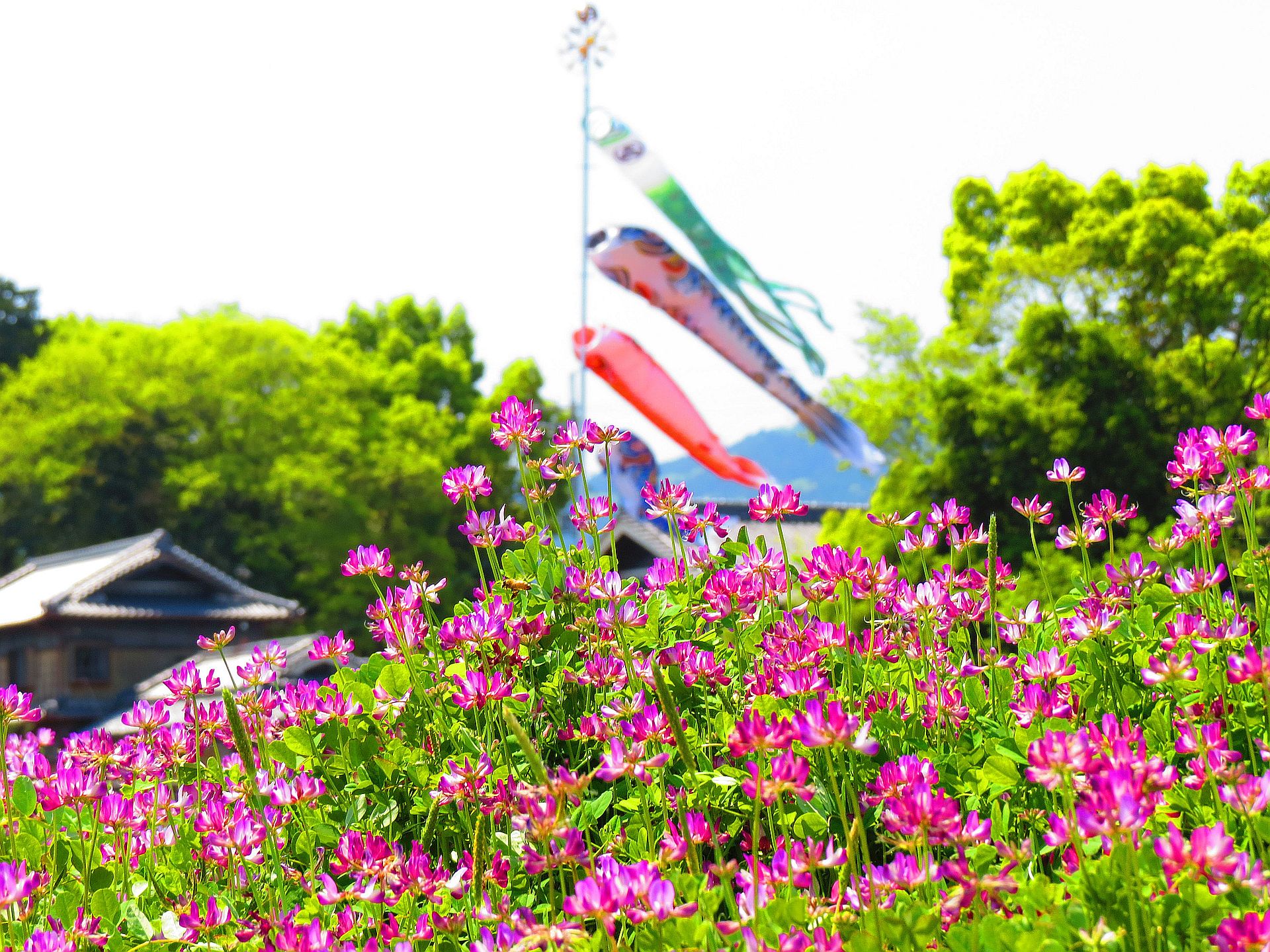 日本の風景 日本の懐かしい風景 壁紙19x1440 壁紙館