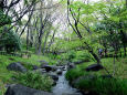 北の丸公園の小川