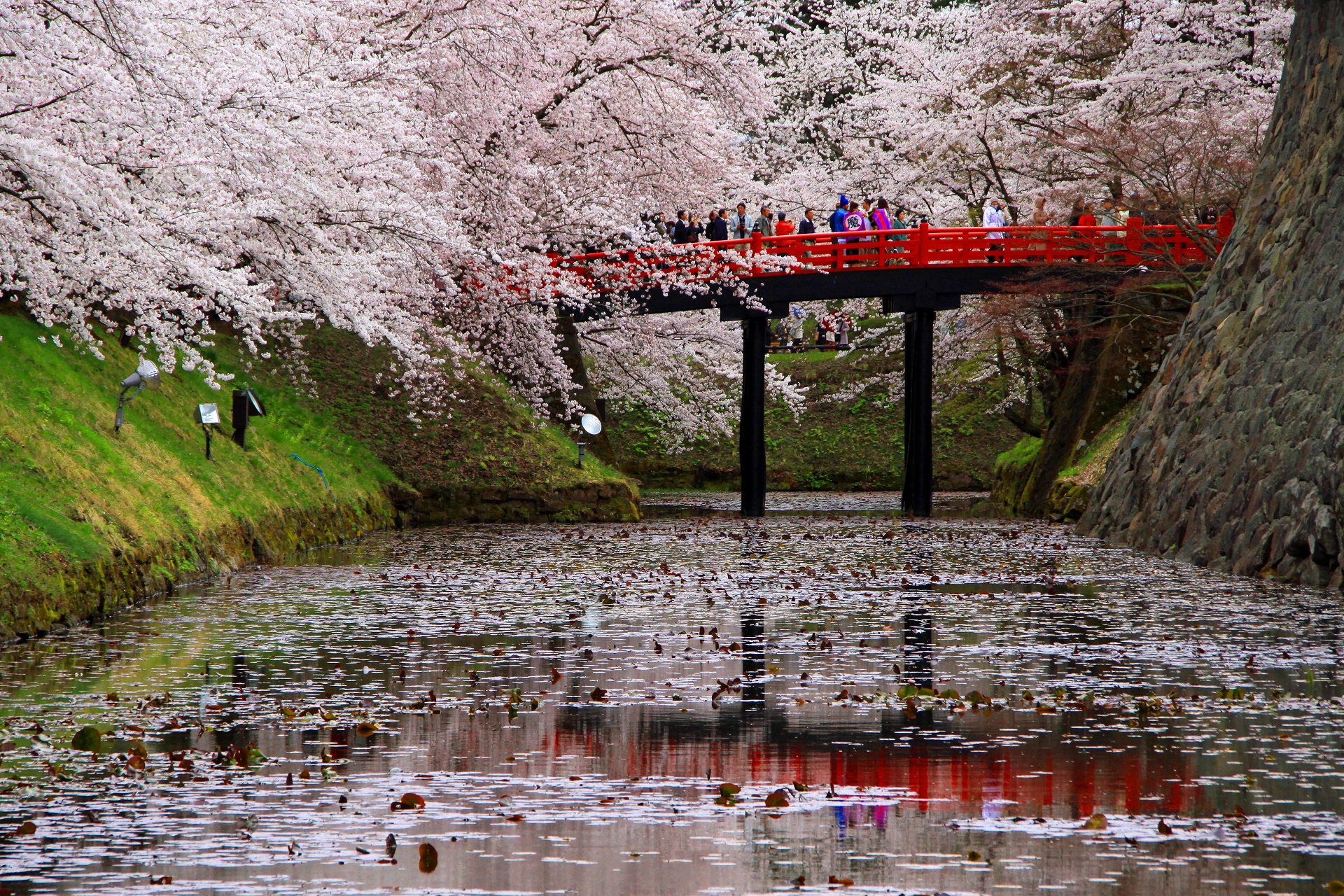 日本の風景 弘前城の桜 壁紙19x1280 壁紙館