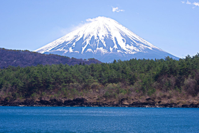 西湖 根場浜から春の富士山