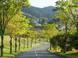 山の別荘地