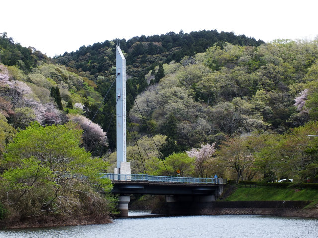 新緑の志野大橋