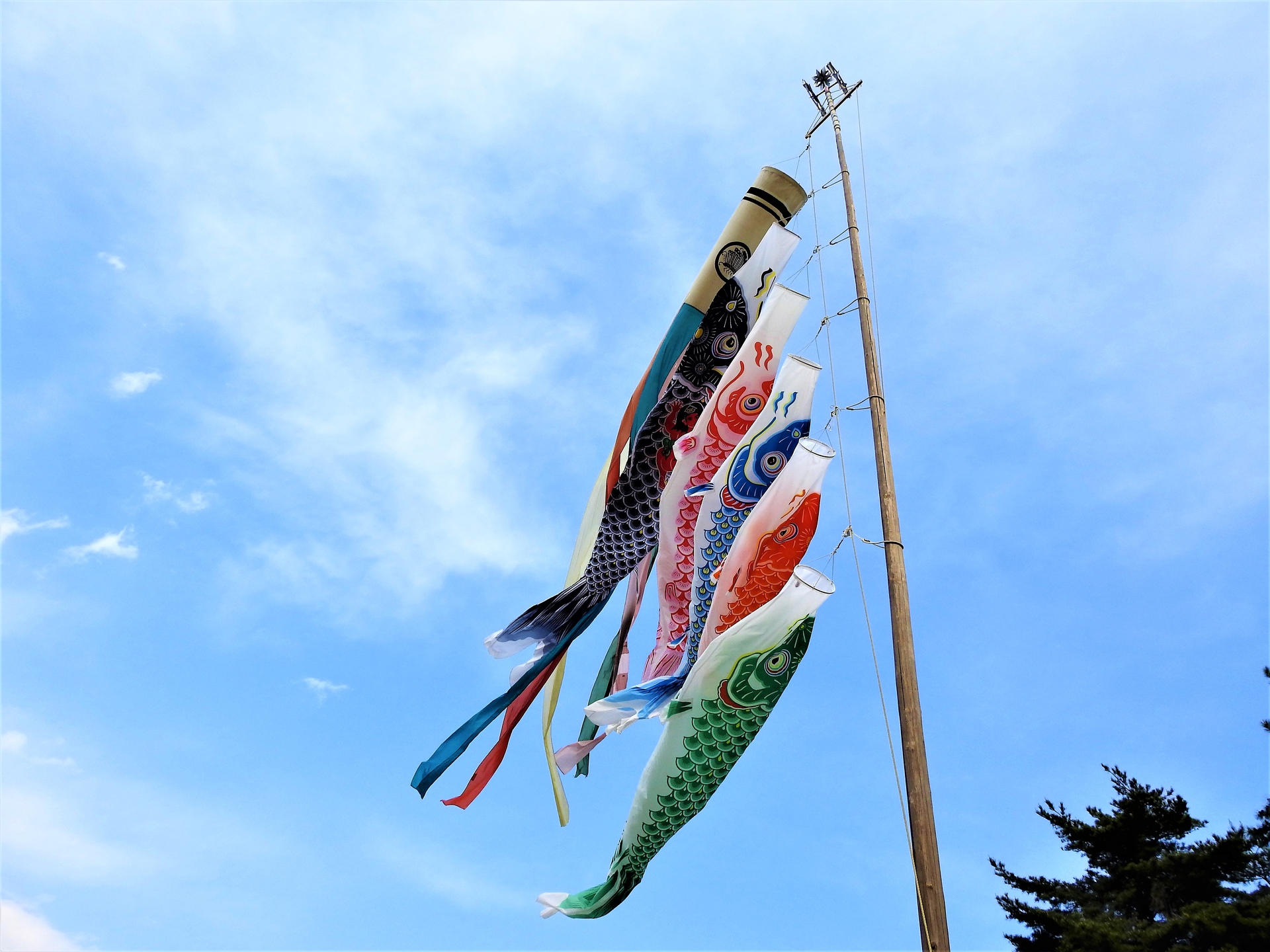 日本の風景 鯉のぼり 壁紙19x1440 壁紙館