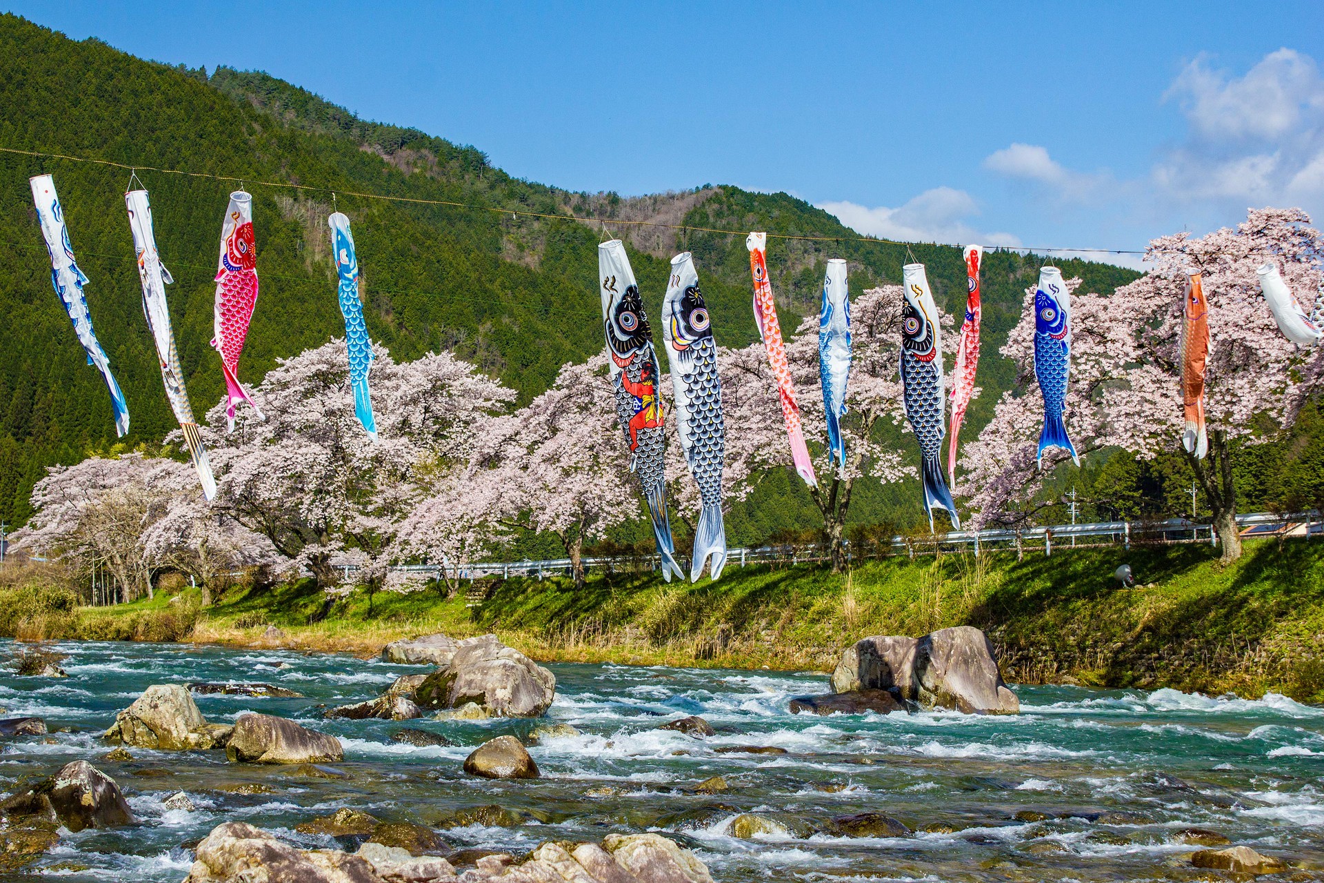 日本の風景 和良川の鯉のぼり 壁紙19x1280 壁紙館