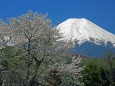 忍野の富士山