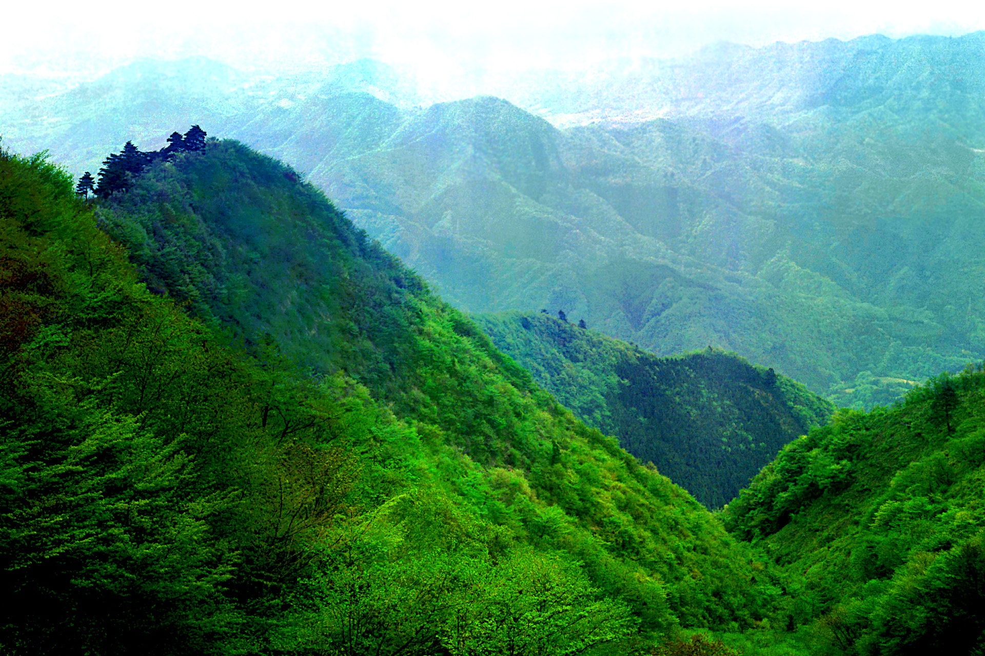 日本の風景 新緑の山を下る 2 壁紙19x1280 壁紙館