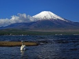 山中湖の春富士