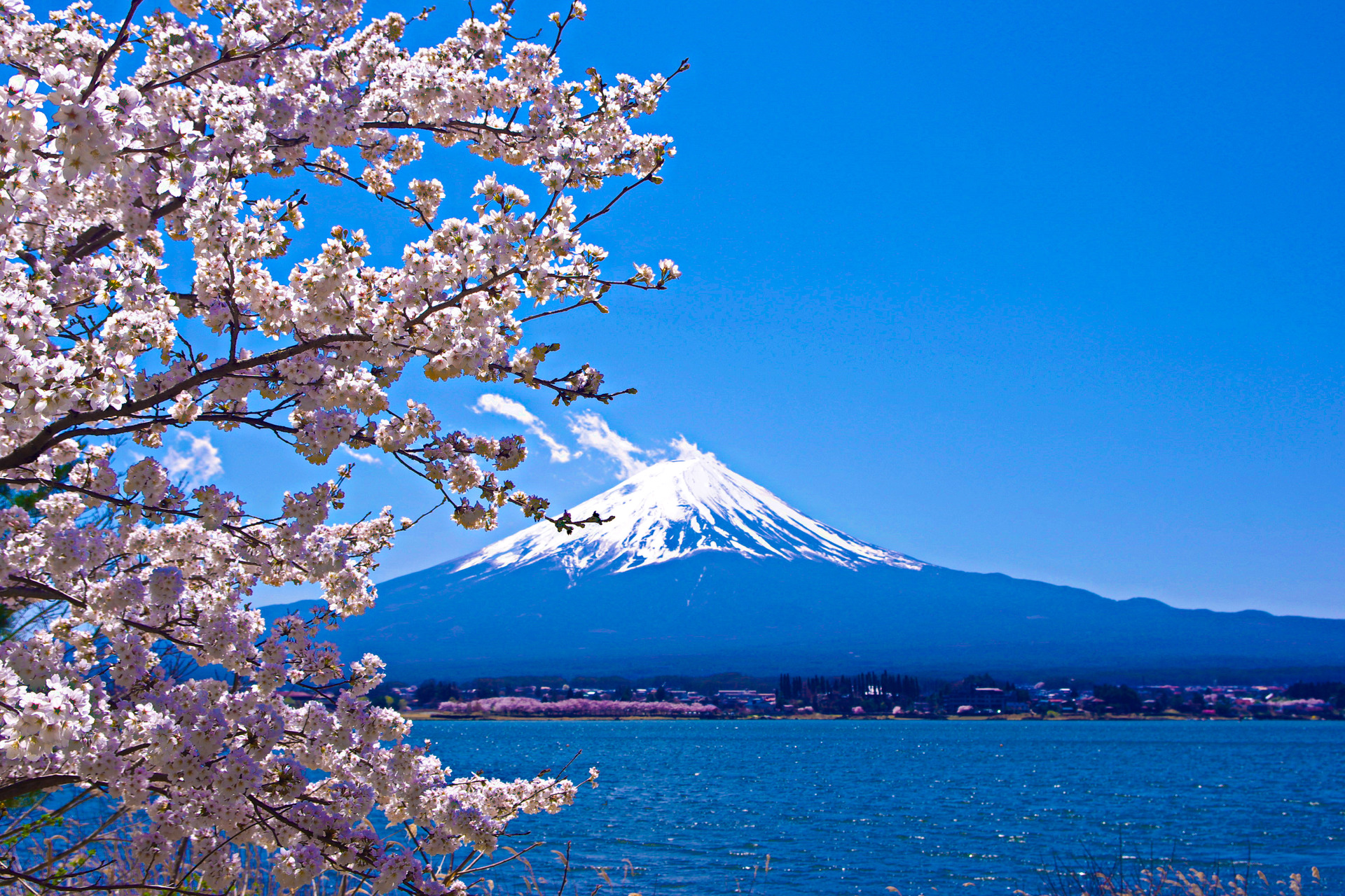 日本の風景 春の富士山 壁紙1920x1280 壁紙館