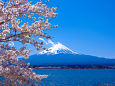 春の富士山