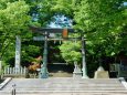 新緑と三国神社鳥居