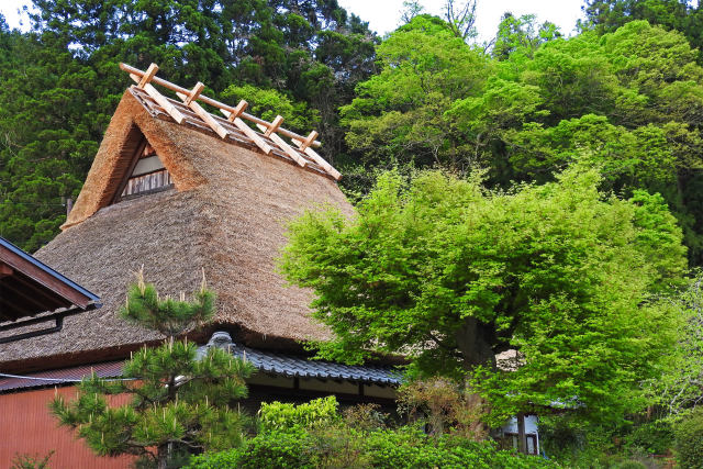 茅葺きの里-美山4