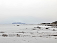 春霞の中の江ノ島眺望