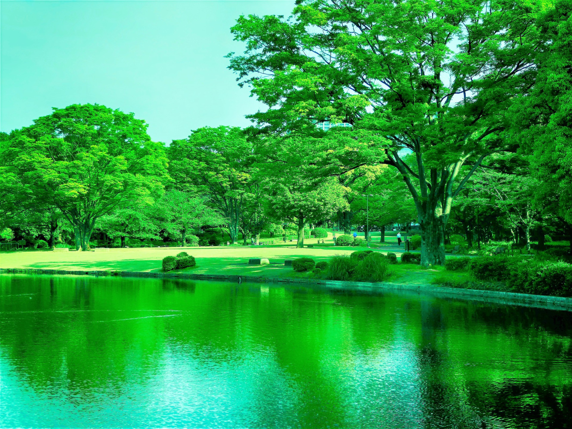 日本の風景 爽やかな朝の光景 壁紙19x1440 壁紙館