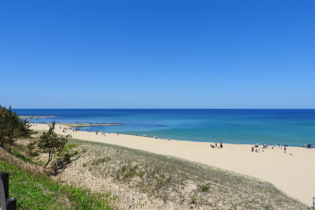 丹後半島-鳴き砂の琴引浜2