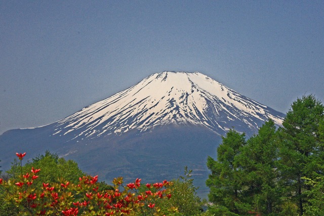 レンゲツツジと富士山