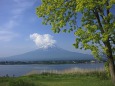 初夏の富士山