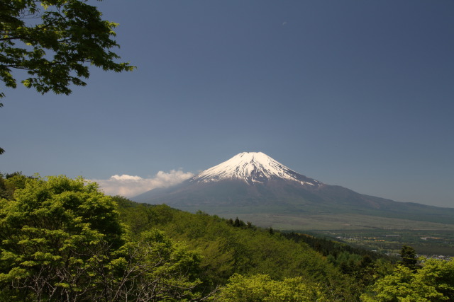 新緑富士山