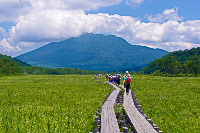 夏の日の尾瀬