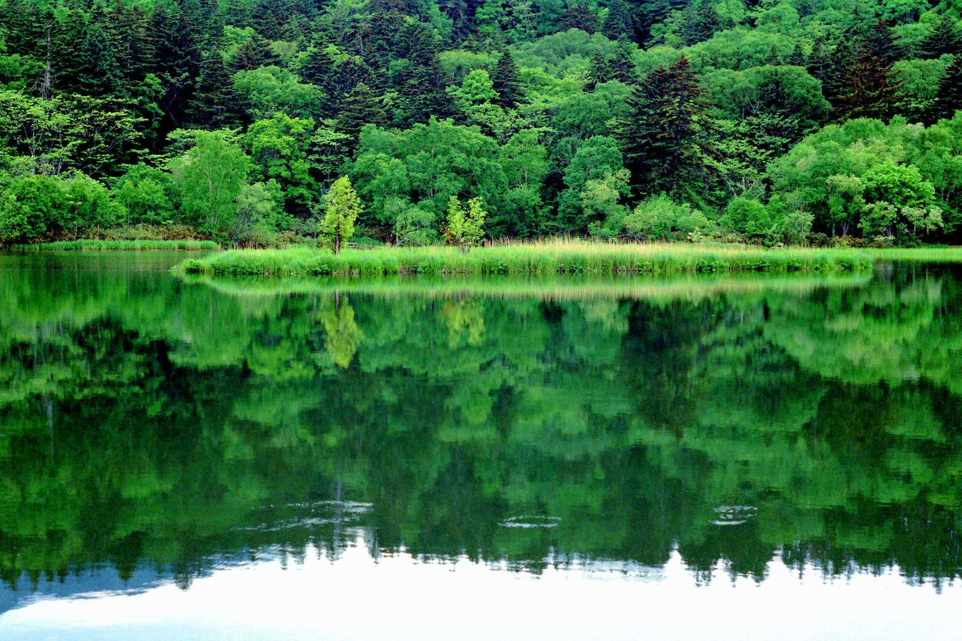 日本の風景 みずうみ緑響く 壁紙19x1280 壁紙館