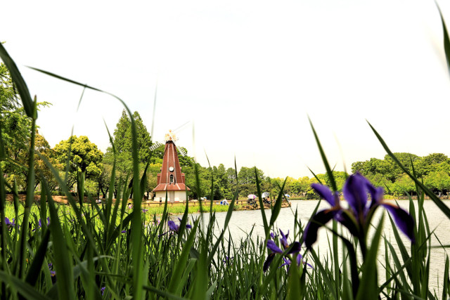 風車のある公園