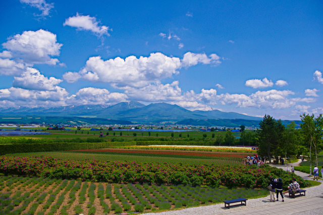 ファーム富田から十勝岳連峰