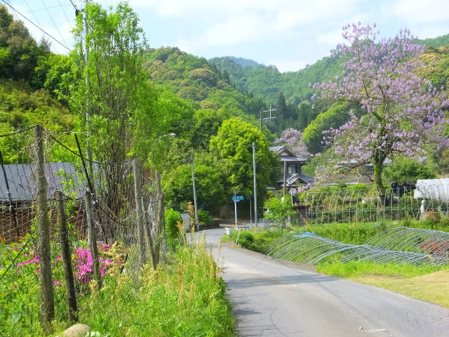 県道6号線の途中で