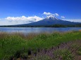 初夏の富士山