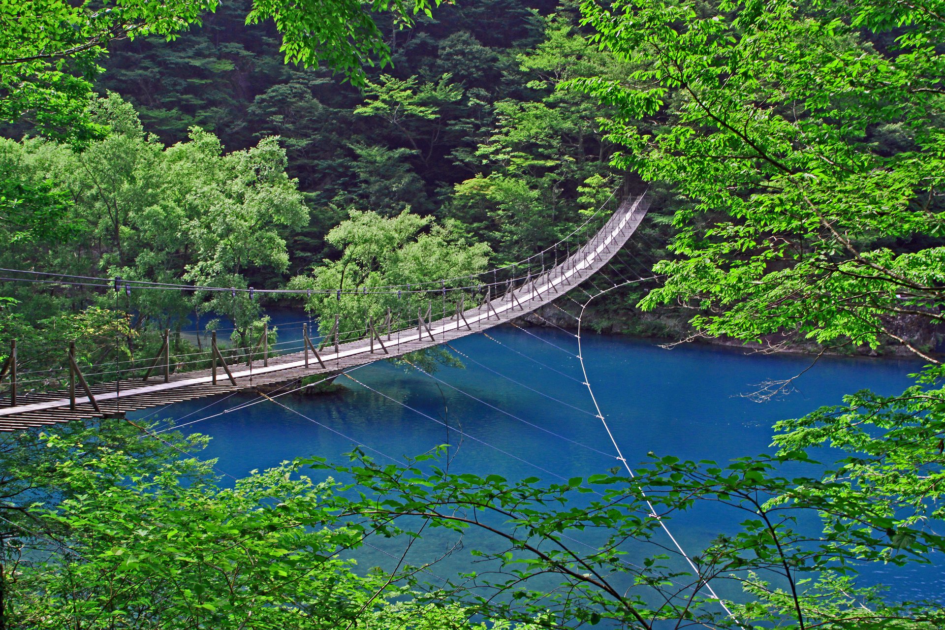 日本の風景 夢の吊橋 壁紙19x1280 壁紙館