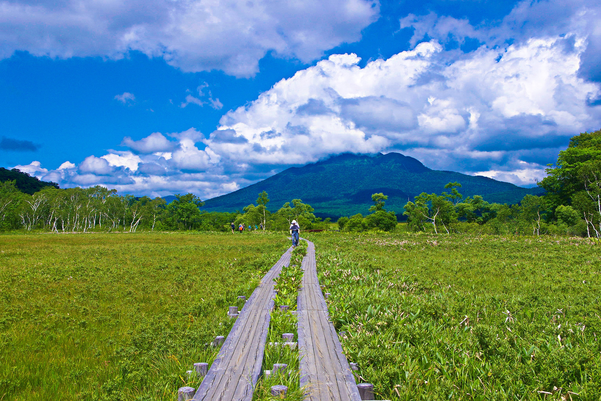 日本の風景 尾瀬 夏景色 壁紙1920x1280 壁紙館