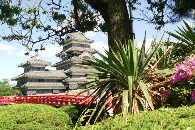 夏の国宝松本城