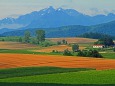 富良野より芦別岳を望む